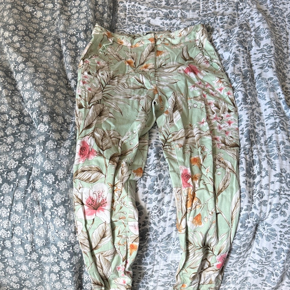 Zara Basic Mint and Beige Floral Pants